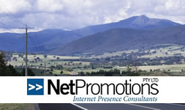 Websites from Net Promotions